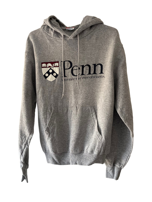 CHAMPION GREY PENN USA HOODIE SIZE S